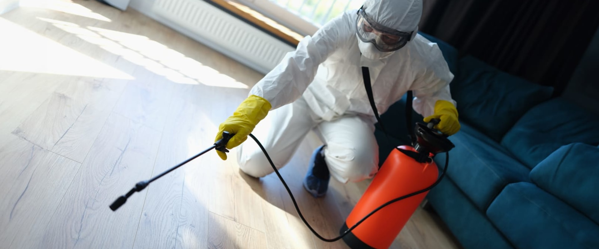Why Hiring An Ant Exterminator Is Essential Before Constructing A Deck In Calgary?