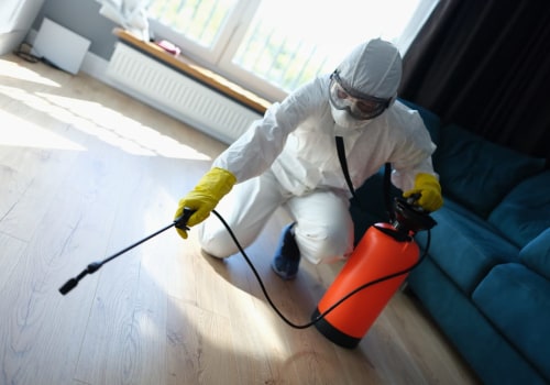 Why Hiring An Ant Exterminator Is Essential Before Constructing A Deck In Calgary?